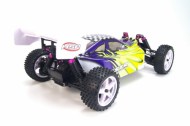 1/10 EP 4WD Off Road Buggy (WaterProof)