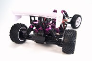 1/10 EP 4WD Off Road Buggy (WaterProof)