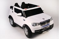BMW(001)