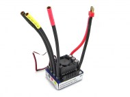 RAE-0036-01