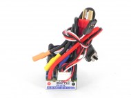 RAE-0038-01