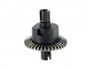 hsp-02024_01