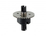 hsp-02024_02